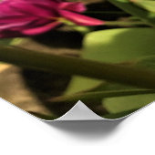 Poster Tulips du Colorful (Coin)