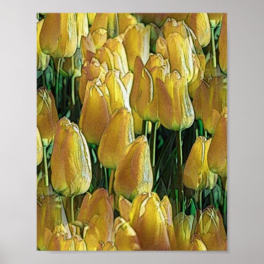 Poster Tulips Sunshine Yellow (Devant)