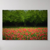 Poster Tulips & Trees (Devant)