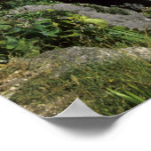 Poster Tulum, Mexique (Coin)