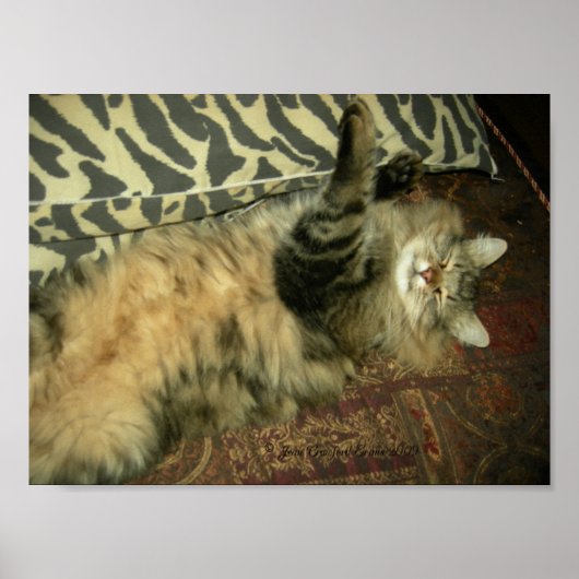 Poster Tum rhum au repos (Devant)