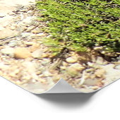 Poster Tumalo Falls (Coin)