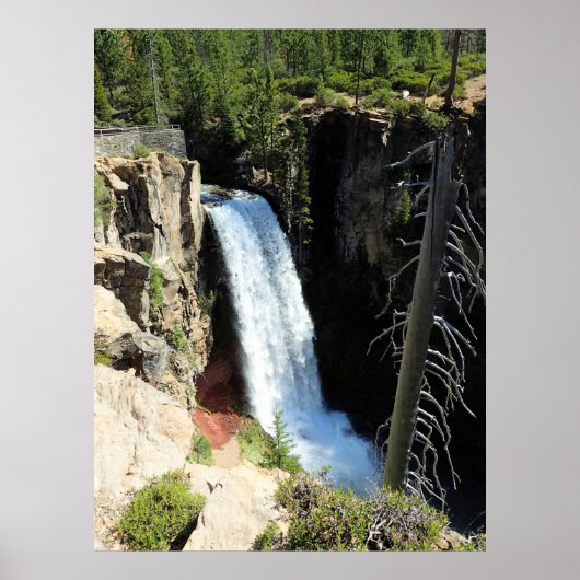 Poster Tumalo Falls (Devant)