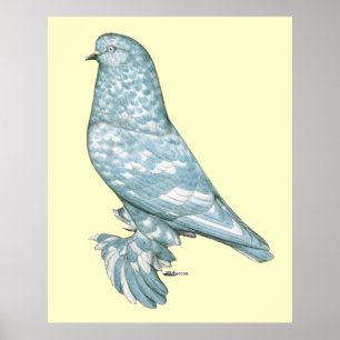 Poster Tumbler Ouest de l'Angleterre : Lavender Mottle