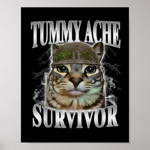 Poster Tummy Ache Survivor Funny Cat Meme
