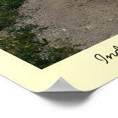 Poster Tundra du Colorado (Coin)