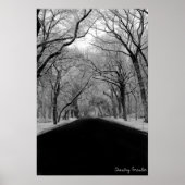 Poster Tunell d'arbre (Devant)