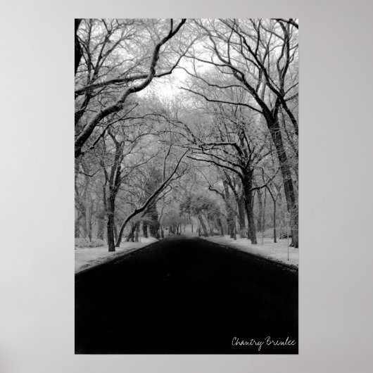 Poster Tunell d'arbre (Devant)