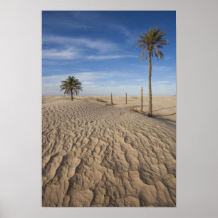 Poster Tunisie, désert du Sahara, Douz, Grande Dune, aube