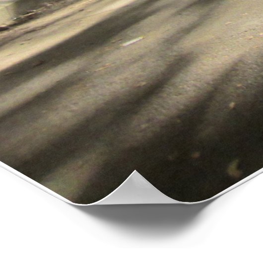 Poster tunnel Central Park (Coin)