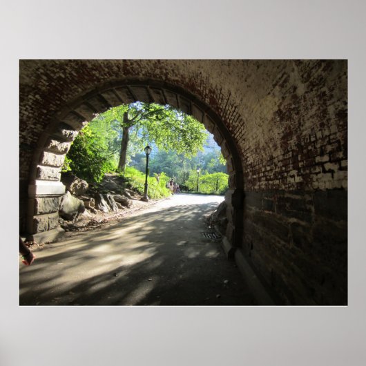 Poster tunnel Central Park (Devant)