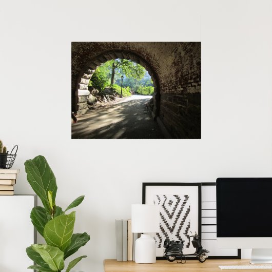 Poster tunnel Central Park (Bureau à domicile)