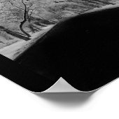 Poster Tunnel de l'arbre (Coin)