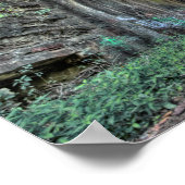 Poster Tunnel de Moonville, Comté de Vinton, Ohio (Coin)