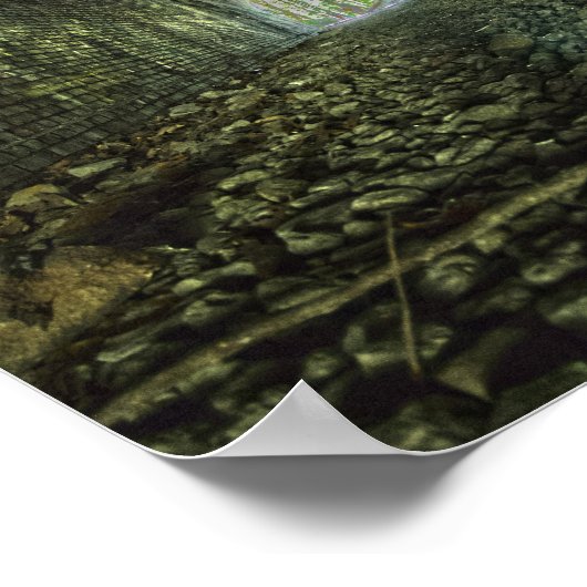 Poster Tunnel de Moonville, Ohio (Coin)