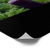 Poster Tunnel de treillis - Allemagne (Coin)