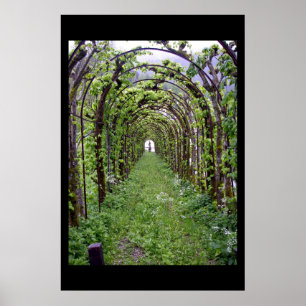 Poster Tunnel de treillis - Allemagne