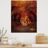 Poster Tunnel des arbres - Une lumière au bout du tunnel (Cuisine)