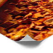 Poster Tunnel ferroviaire de la forêt d'Ukraine Amour pay (Coin)