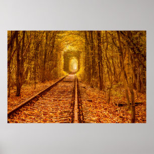 Poster Tunnel ferroviaire de la forêt d'Ukraine Amour pay