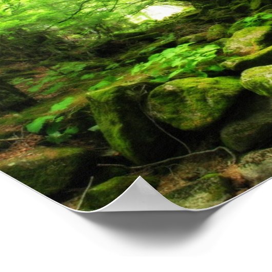 Poster Tunnel vert (Coin)