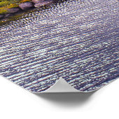 Poster Tuolumne Meadow & Tuolumne Creek (Coin)