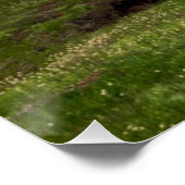 Poster Tuolumne Meadow, yosemite (Coin)