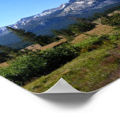 Poster Tuolumne Meadows (Coin)