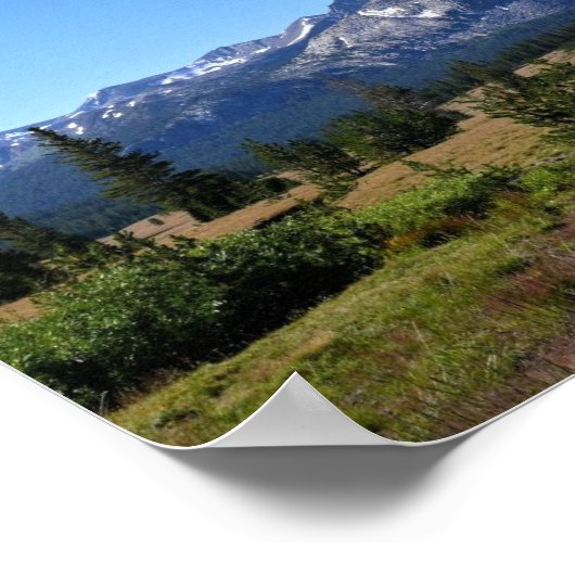 Poster Tuolumne Meadows (Coin)