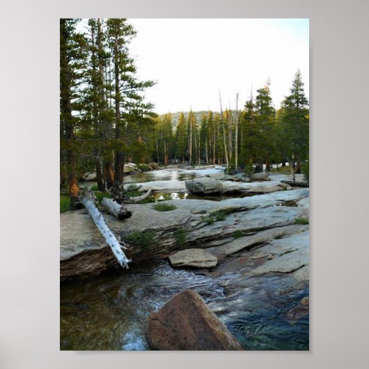 Poster Tuolumne river by campground, yosemite, CA (Devant)