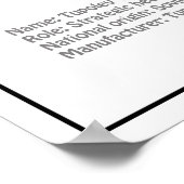 Poster Tupolev Tu-95 - Plan de plan d'avion BD (Coin)