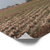 Poster Turbine éolienne (Coin)