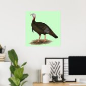 Poster Turkey:  Eastern Wild Tom (Bureau à domicile)