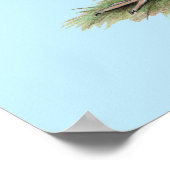 Poster Turkeys White Hollands (Coin)