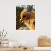 Poster Turkin Chick (Cuisine)