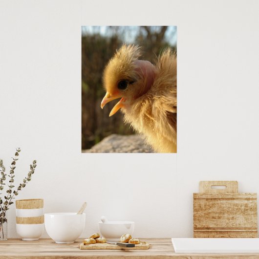 Poster Turkin Chick (Cuisine)