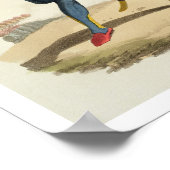 Poster Turkish soldier, from 'Costumes of the Various Nat (Coin)