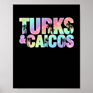 Poster Turks & Caicos Palm Trees Souvenir