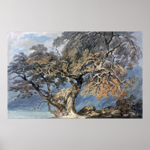 Poster Turner - Grand Arbre