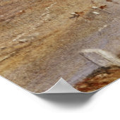 Poster Turner - Melrose (Coin)