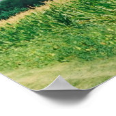 Poster Turner's Gap, South Mountain, Middletown, Md, cg (Coin)