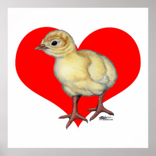 Poster Turquie Coeur de coquille
