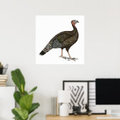 Poster Turquie : Hen de bronze standard (Bureau à domicile)