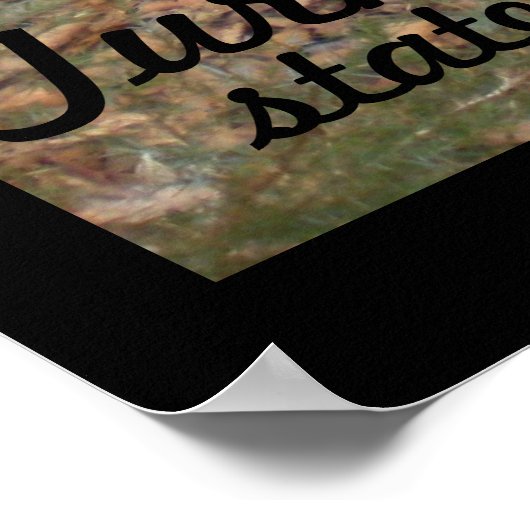 Poster Turquie Run State Park, Hallow Tree (Coin)