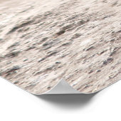 Poster Turquie sauvage (Coin)