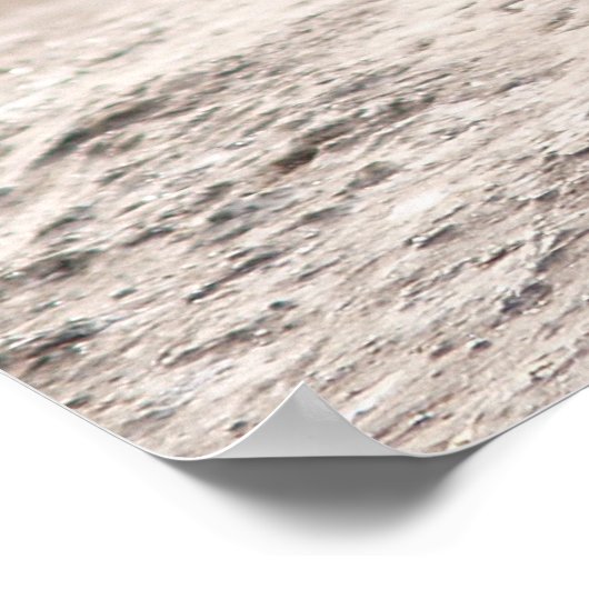 Poster Turquie sauvage (Coin)