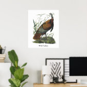 Poster Turquie sauvage, John Audubon (Bureau à domicile)
