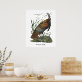 Poster Turquie sauvage, John Audubon (Cuisine)