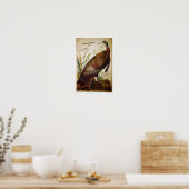 Poster Turquie sauvage, John James Audubon (Cuisine)