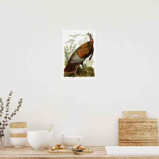 Poster Turquie sauvage John James Audubon Oiseaux d'Améri (Cuisine)